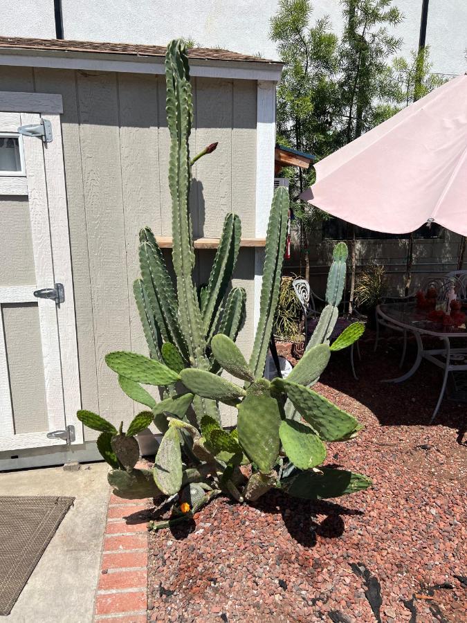 Private Los Angeles Room - Free Wifi, Ac, Tv, Private Fridge, Kitchen, Near Usc - Exposition Park - Usc Memorial Coliseum - Banc Of California Bmo Stadium - Downtown Los Angeles Dtla - University Of Southern California Usc!! Extérieur photo